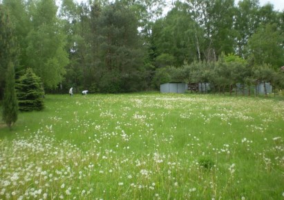 działka na sprzedaż - Tarczyn (gw), Ruda