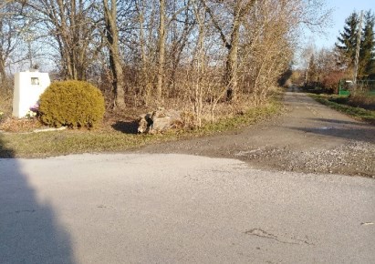 działka na sprzedaż - Chynów, Barcice Drwalewskie, Leśna