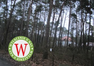 działka na sprzedaż - Piaseczno (gw), Zalesie Górne, Akacjowa