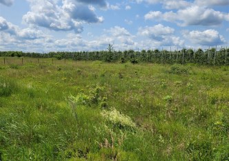 działka na sprzedaż - Góra Kalwaria (gw), Sierzchów, Ogrodowa