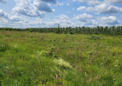 działka na sprzedaż - Góra Kalwaria (gw), Sierzchów, Ogrodowa