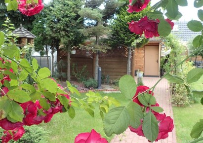 działka na sprzedaż - Warszawa, Żoliborz, Gwiaździsta