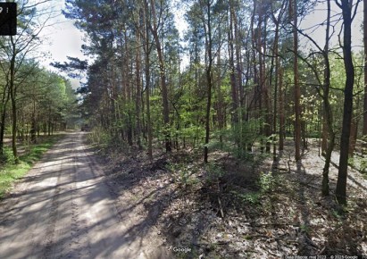 działka na sprzedaż - Nowe Miasto, Nowosiółki