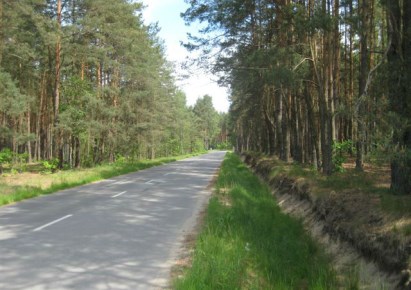 działka na sprzedaż - Prażmów, Kolonia Gościeńczyce